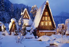 科维托娃迎来五赛季出色发挥，加拿大队观众热烈欢呼！气势如虹延续的简单介绍